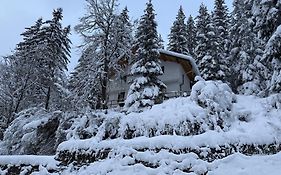 Villa Gusto, 3Km From Pamporovo